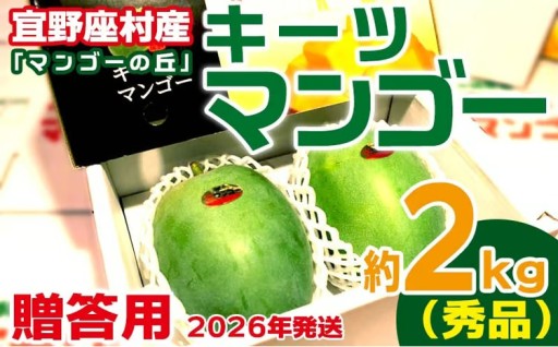 【2026年発送】贈答用　宜野座村産キーツマンゴー「マンゴーの丘」秀品　約2kg 