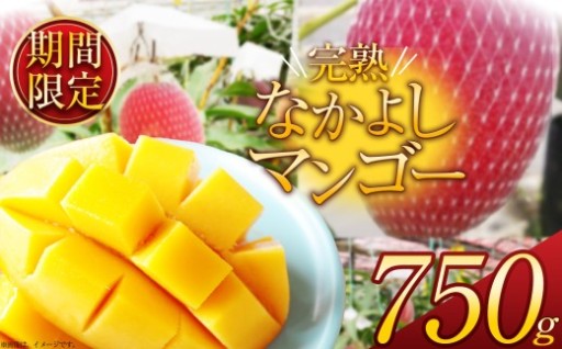 【期間限定】完熟なかよし マンゴー 約750g