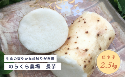 総重量2.5kg‼️なが～～い長芋をお手軽まかないレシピ付きでお届けします🎁