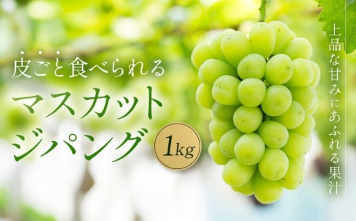 【先行予約】マスカットジパング 1kg【数量限定100セット】