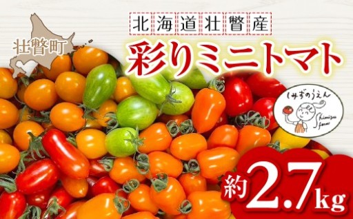 北海道壮瞥町📣清水農園直売所で一番人気🍅 【カラフルミニトマト食べ比べ】