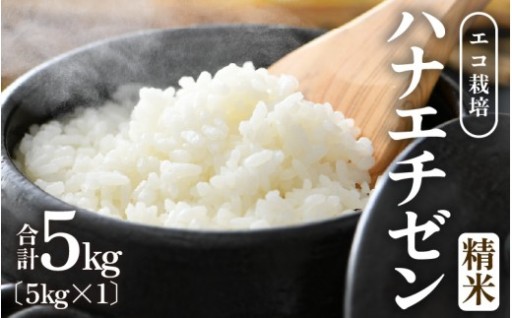 【先行予約】エコ栽培🌱こだわり高品質米🍚