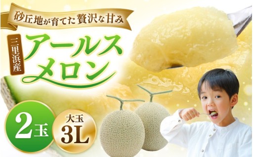 【先行予約】砂丘地が育てた贅沢な甘み！とろける果汁の青肉メロン🍈✨