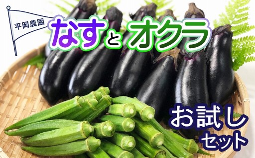 夏野菜 詰め合わせ お試し セット なす おくら