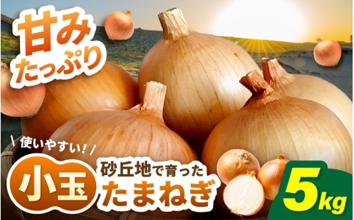 【甘みたっぷり】砂丘地育ち“ちょうどいいサイズ”の小玉たまねぎ🧅✨