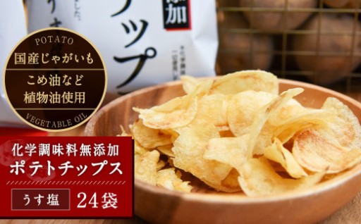 化学調味料無添加 ポテトチップス うす塩(60g×24袋) 