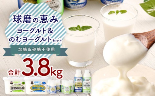 球磨の恵み ヨーグルト 2パック & ドリンクヨーグルト 8本 セット 