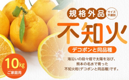 【規格外品】不知火 (デコポンと同品種) ご家庭用 10kg