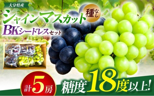 【先行予約】シャインマスカット (2房) BKシードレス (3房) 約2.8kg 
