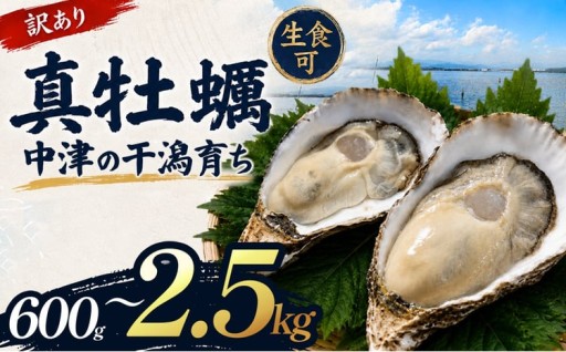 【訳あり】殻付き真牡蠣 選べる 内容量 600g ～ 2.5kg 
