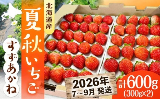 今だけ！北海道から直送の夏いちごすずあかね