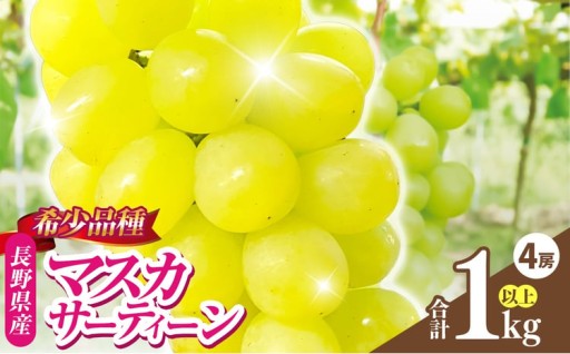 ぶどう マスカサーティーン 4房