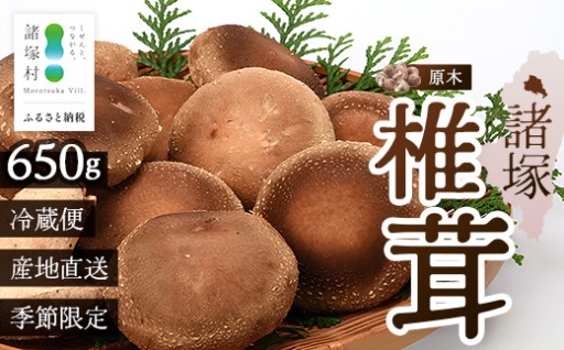 【先行予約】宮崎県諸塚村産原木生椎茸 約650g