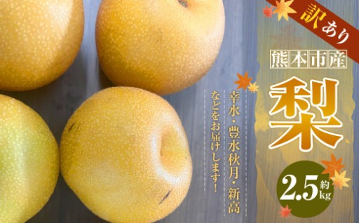 【訳あり】【数量限定】【先行予約】熊本市産 梨 (幸水・豊水・秋月・新高など) 約 2.5kg