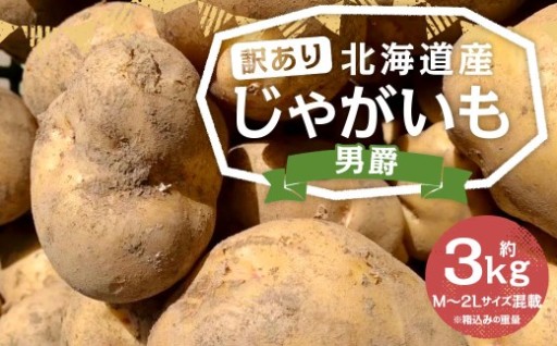 【訳あり】 北海道産 じゃがいも （男爵） 約3kg