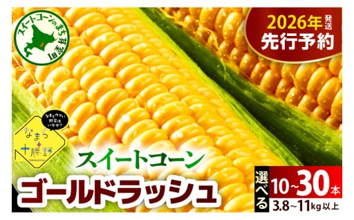 🌽北海道芽室町🌽スイートコーン ゴールドラッシュ