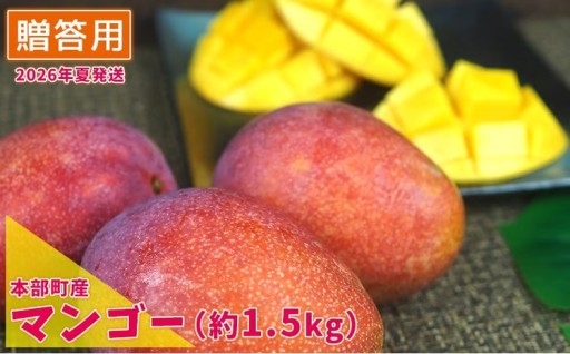 【2026年夏発送】もとぶ町産マンゴー（贈答用）約1.5kg詰め 