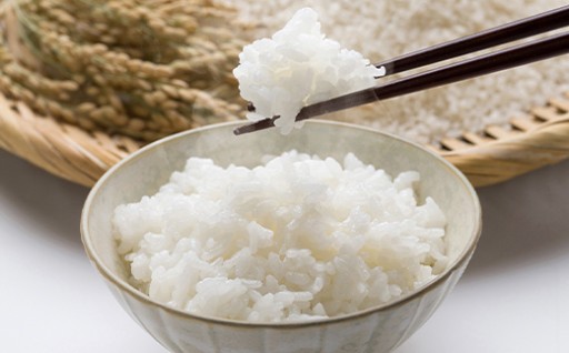 【1週間程度で発送】令和7年産 山形県産はえぬき 精米・無洗米からお選びいただけます！
