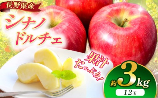 りんご 信州 上伊那産 シナノドルチェ 約3kg （12玉）