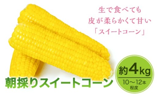 朝採りスイートコーン４ｋｇ（１０～１２本）