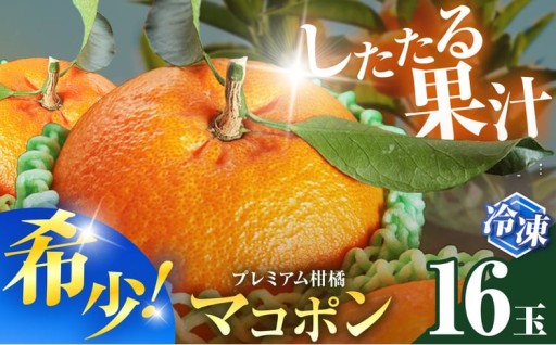冷凍 マコポン 16玉