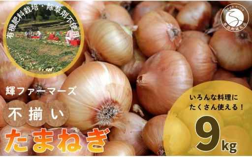 「小玉サイズたまねぎ約9キロ」【輝ファーマーズ】