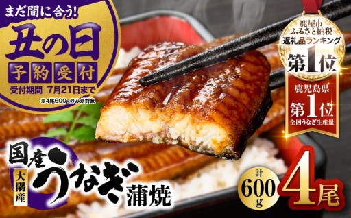 まだ間に合う！【土用の丑の日予約受付7/21まで】鹿児島県大隅産うなぎ蒲焼4尾（600g）