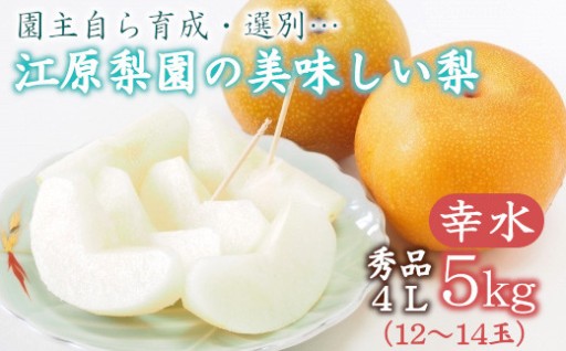 江原梨園の美味しい梨 約5kg 幸水