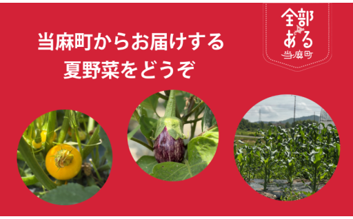 安心！安全！ 当麻町の夏の実りをふるさと納税で味わってみませんか。
