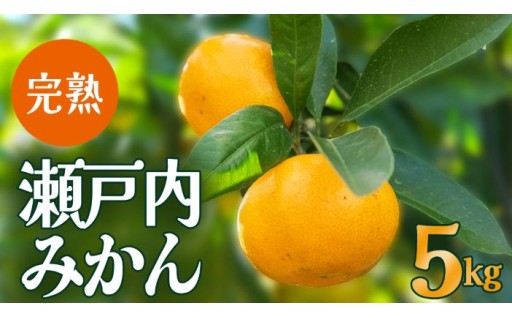 房皮が薄く食べやすい！岩﨑農園の島の完熟みかん