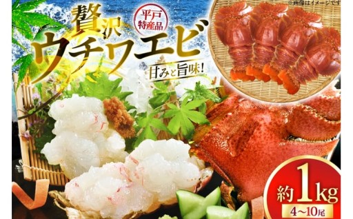 平戸の特選！冷凍ウチワエビ！