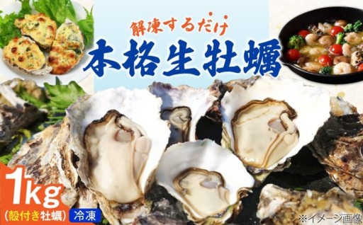 濃厚な旨さ！生食用殻付き牡蠣🦪