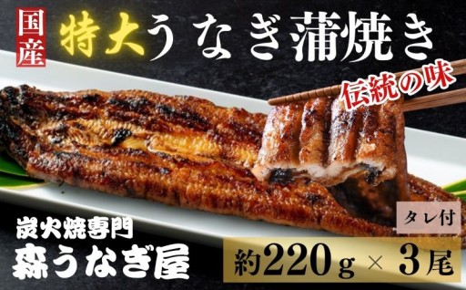 夏のスタミナ源！うなぎを食べよう♪
