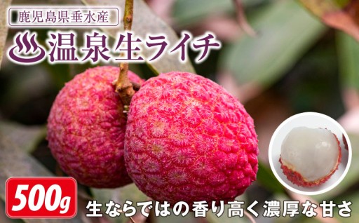 【残りわずか】希少な国産 生ライチ【期間限定】