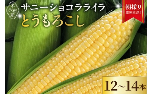 🌽【先行予約】 令和8年産 とうもろこし 5kg 🌽
