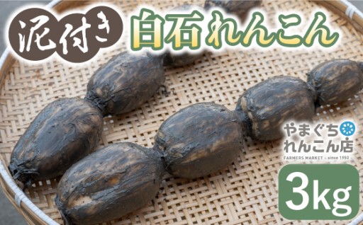 祖母は104歳！長寿の食卓に白石れんこん