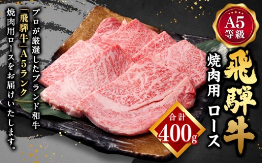 飛騨牛 A5 等級 焼肉 用 （ ロース 400g）