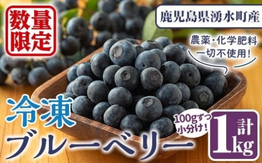 《先行予約受付中！》冷凍ブルーベリー(計1kg・100g×10パック)【体験型観光農園さつまドリームファーム】