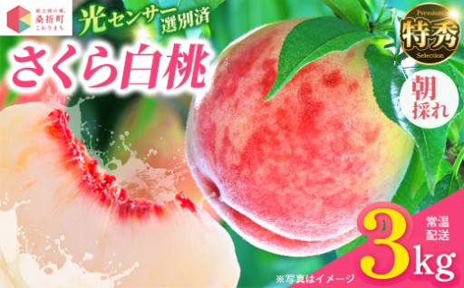 【献上桃の郷】さくら白桃 特秀 約3kg