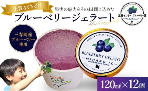 三春町産ブルーベリージェラート 120ml×12個