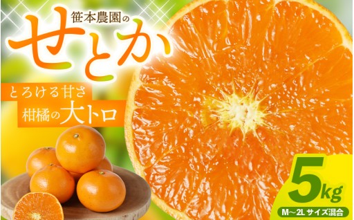 【柑橘の大トロ】 笹本農園のせとか 約5kg🍊✨