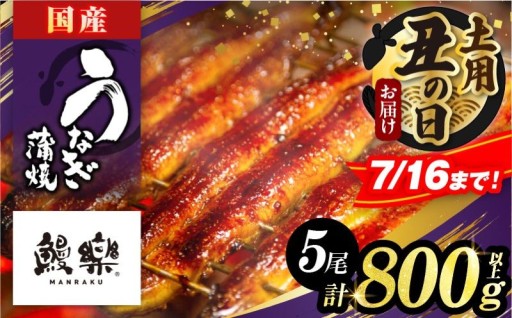 【宮崎県都農町】＼✨夏の丑の日までにお届け✨／うなぎ蒲焼5尾