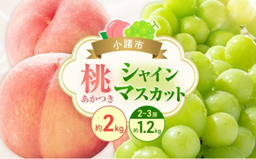 【新着】桃もシャインマスカットもどっちも楽しめる♪