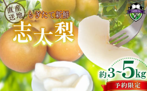 藤枝市の梨のご紹介