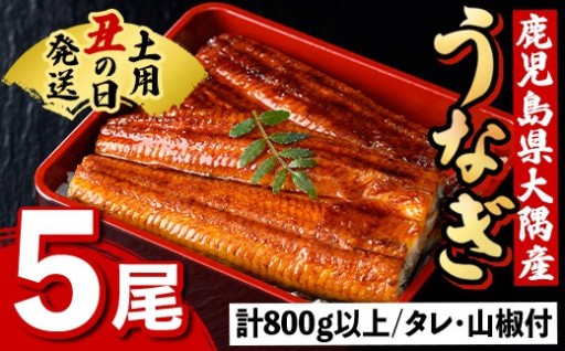 《土用の丑の日までに発送！》うなぎ蒲焼(5尾)