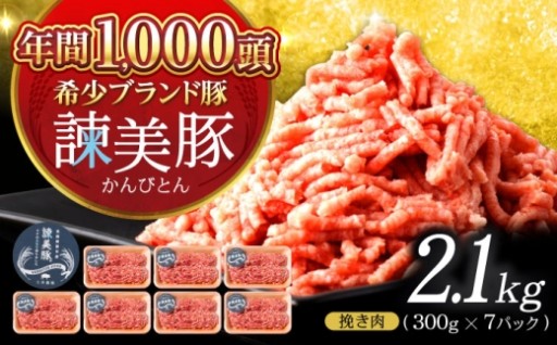 諫美豚 挽き肉 2.1kg（300g×7P）