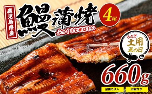 外は香ばしく中はふっくら✨鹿児島県産うなぎの蒲焼4尾