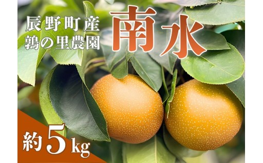 先行予約 梨 南水 5kg 【鶉の里農園】