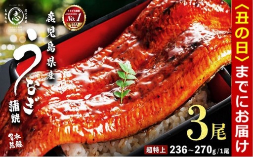 【丑の日配送】【数量限定】鹿児島県産うなぎ蒲焼 名水慈鰻 超特上 3尾(1尾あたり236~270g)
