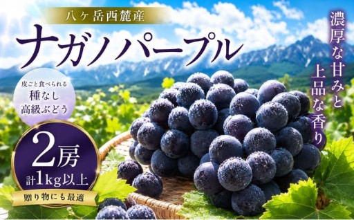 八ヶ岳西麓産 ナガノパープル 2房（ 計 1kg 以上 ）【2026年9月中旬～発送】